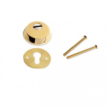 Set rozeta antiefractie, Kale Kilit, usa metalica, doua piese, auriu